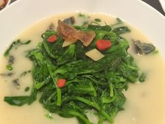 -秀儿四九城·新京菜(亚运村鸟巢店)