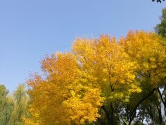 -玲珑塔公园