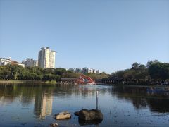-映月湖公园