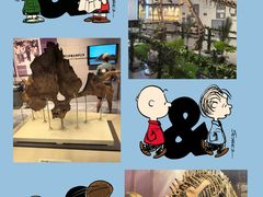 -北京周口店北京人遗址博物馆
