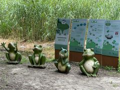 -同里国家湿地公园