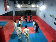 训练实况-金翼跆拳道巴西柔术拳击格斗学院