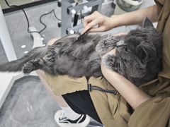 -爱洗澡的猫(天河路店)