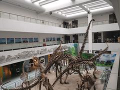 -中国地质大学逸夫博物馆