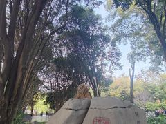 -柳侯公园