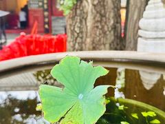 -红螺寺