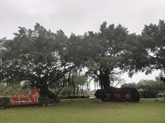 -万绿园