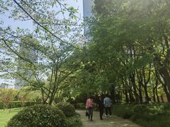 -陆家嘴中心绿地