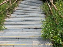 -大青沟风景区