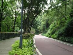 -金鸡山公园