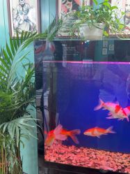 -尚逸男士理发馆·专注男发