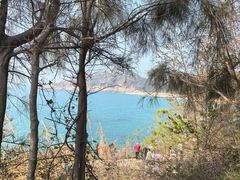 -广东惠东海龟国家级自然保护区