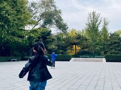 -玲珑塔公园