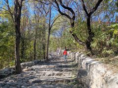 -阳台山自然风景区