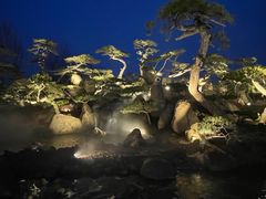 -罗红摄影艺术馆