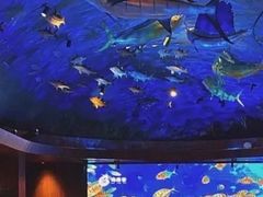 -海游荟·海洋文化餐厅(福田店)