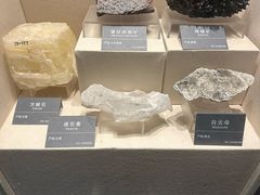 -安徽省地质博物馆