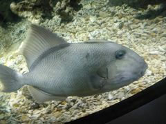 -福州罗源湾海洋世界旅游区