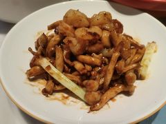 XO酱爆白玉菇虾仁-大树餐厅(益田假日店)