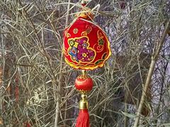 -碧露轩·大益茶体验馆(镇江路店)