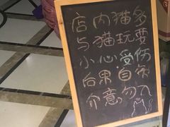 -猫色咖啡·猫咖