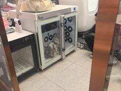 -FAELING PETS美天灵宠物(富力广场店)