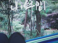 -铁山坪森林公园
