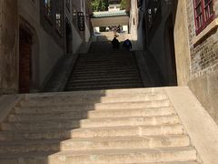 -武汉大学-樱园