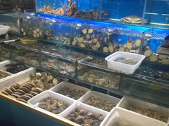 -岳各庄批发市场(西四环中路店)