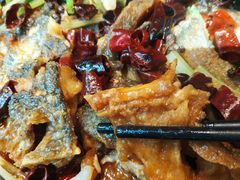 -老板恋上鱼(恒隆广场店)