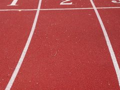 -上海市世外小学