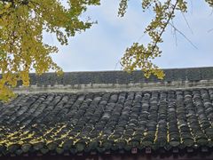 -成都市文殊院