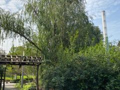 -武汉园博园(武汉自然博物馆)