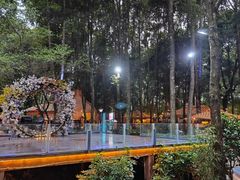 -二荆条·蜀鲜汇城市森林火锅