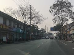 -张醪糟