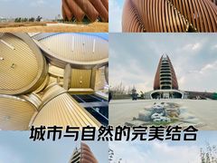 -成都大熊猫繁育研究基地