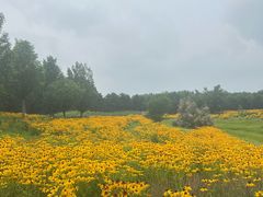-东郊湿地公园