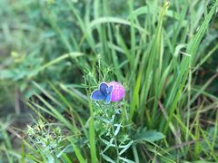 -鹫峰国家森林公园