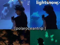 -海合安成都极地海洋公园