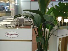 -哈根达斯(天河城店)