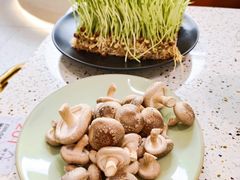 -椰子营·椰子鸡火锅(万象里店)