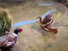 -陕西自然博物馆