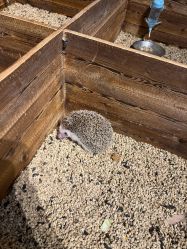 -酷嗒动物文化乐园(cutezoo西溪乐天城店)