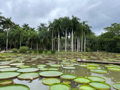 -中国科学院西双版纳热带植物园