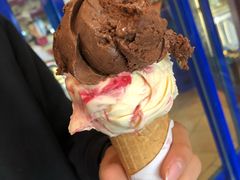 -Dooley's Premium Ice Cream