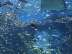 -江和美海洋公园
