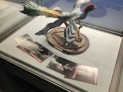 -湖南省地质博物馆