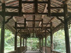 -神农架香溪源景区