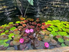 -北京植物园南门售票处