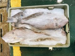 -海峡水产品交易中心(海鲜交易区)